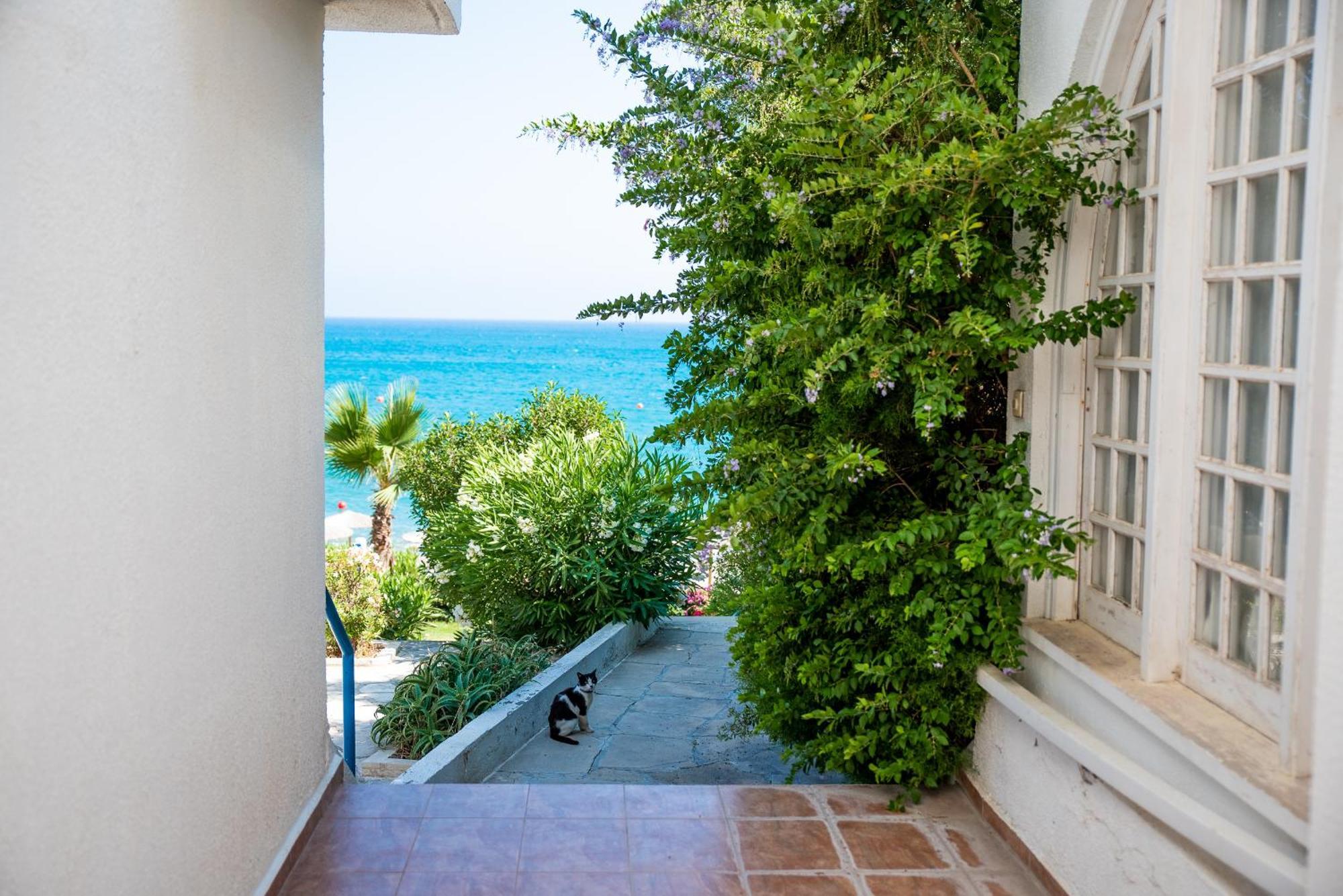 Pissouri Bay Studio Экстерьер фото